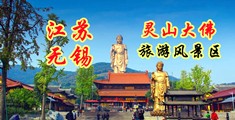 日本骚妇在线免费观看电影江苏无锡灵山大佛旅游风景区